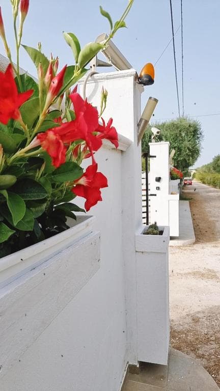 Villa Vittoria Mesagne - Photo 4