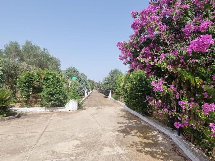 60924298gallery_cleanup